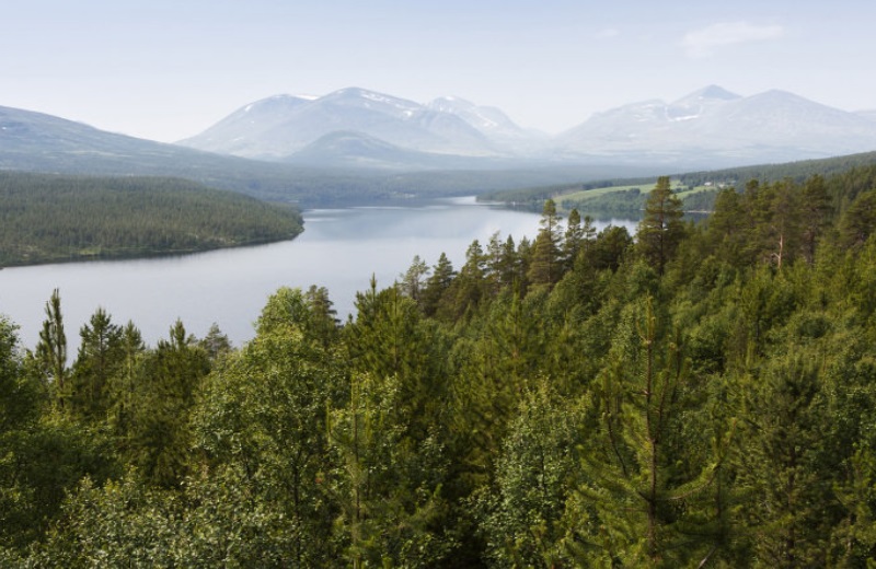 Paisagem no condado de Hedmark
