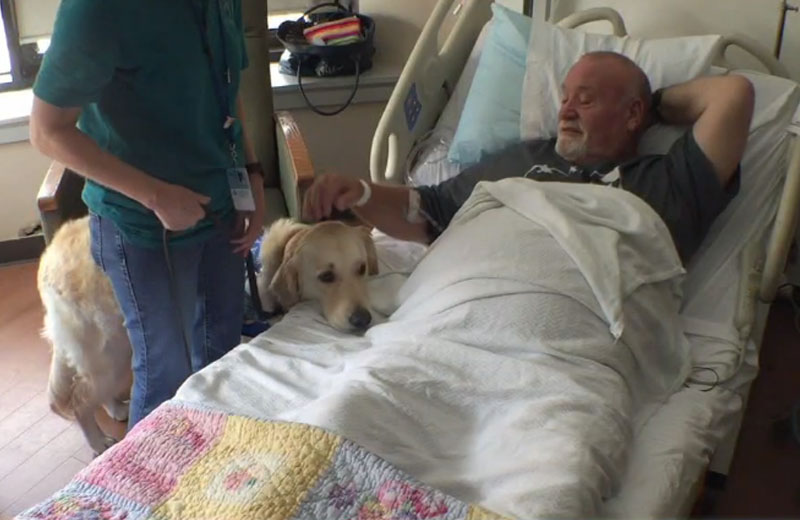 Foto: reprodução / WFAA|