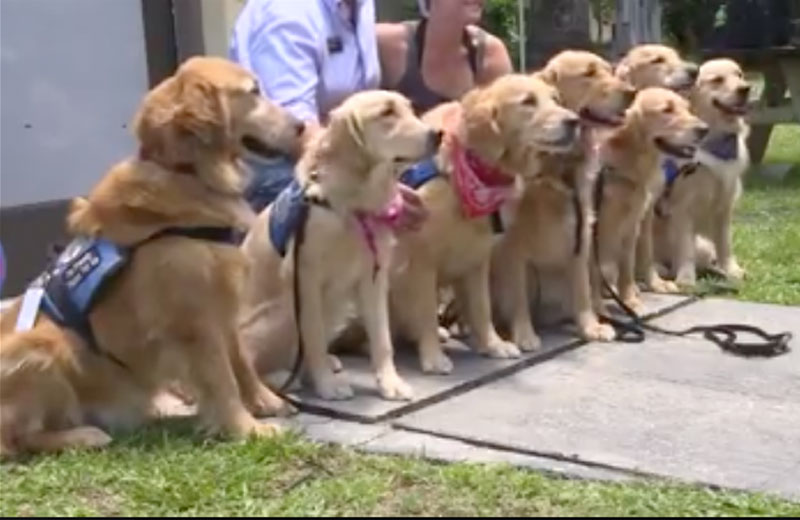 Foto: reprodução / WFAA