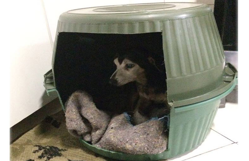 Foto: Reprodução/ Facebook/ Ana Claudia Oliveira|Foto: Reprodução/ Facebook/ Marcelle Rangel|