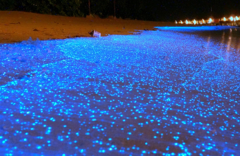 Reprodução/Ilha de Vaadhoo