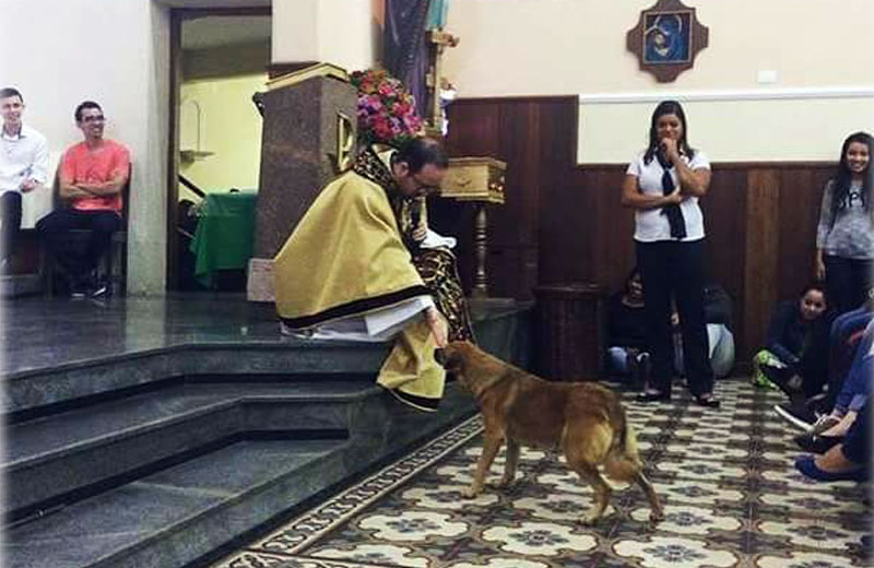 Foto: reprodução / Facebook|