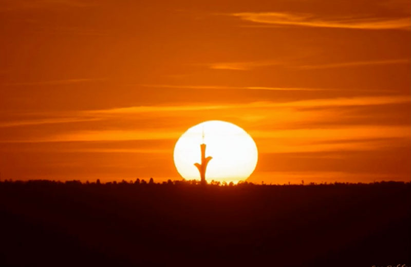 Foto: Leo Caldas / reprodução / Youtube