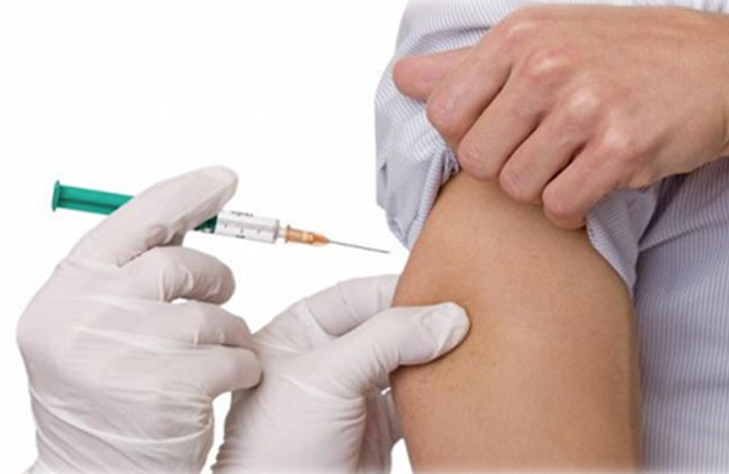 Foto: divulgação|Foto: Pixabay