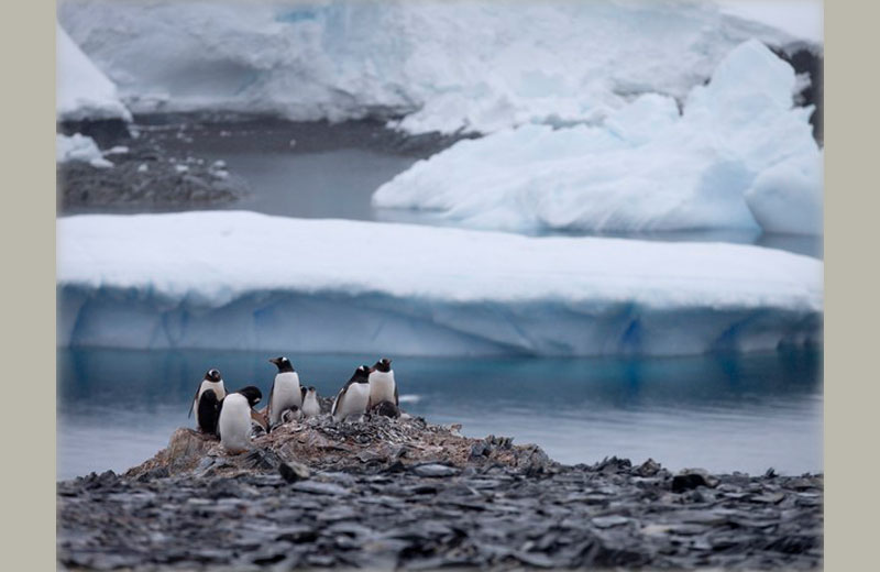 Foto: AP Photo/Natacha Pisarenko