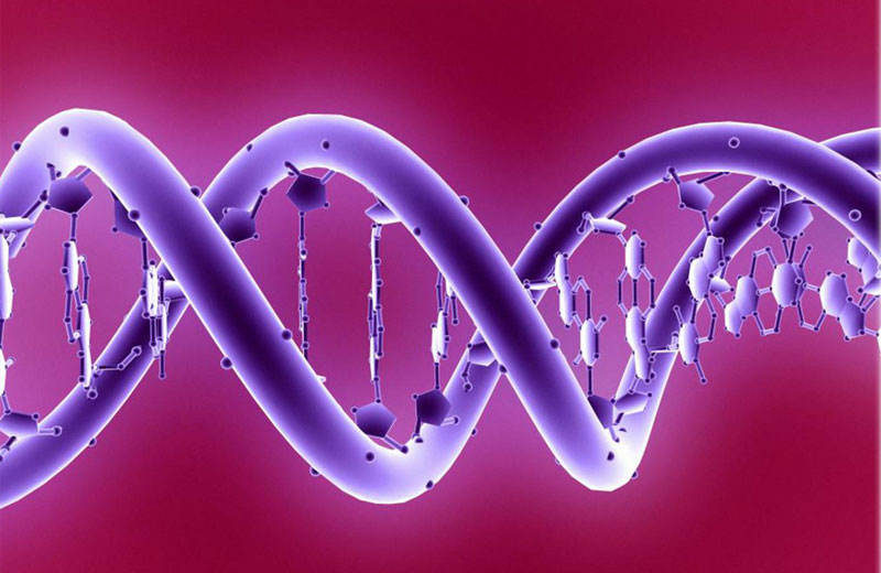 Foto: Science Photo Library