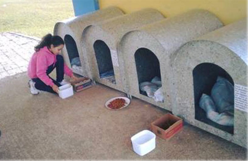 Fotos: reprodução / Facebook