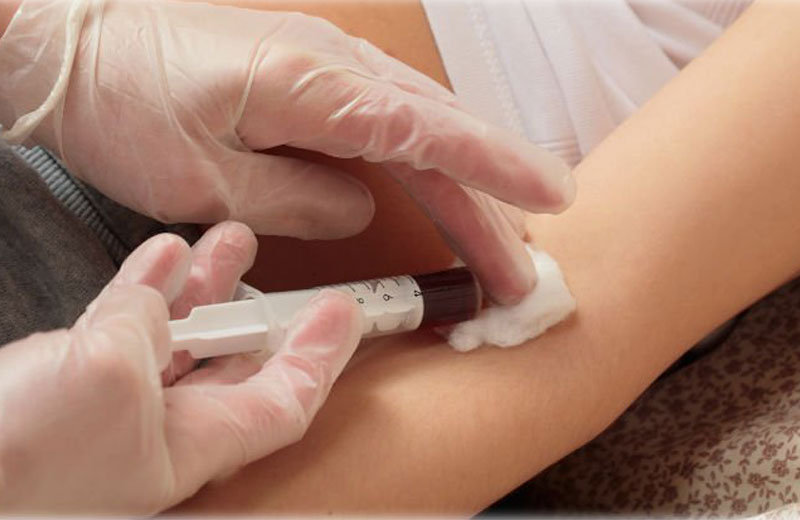 Foto: Zholobov Vadim/Shutterstock.com