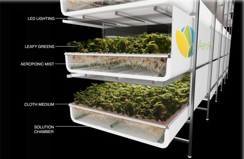 Foto: reprodução / Youtube