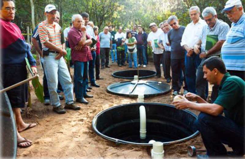 Foto: Monica Laurito / Embrapa|Antonio Pereira de Novaes - Foto: Arquivo Embrapa