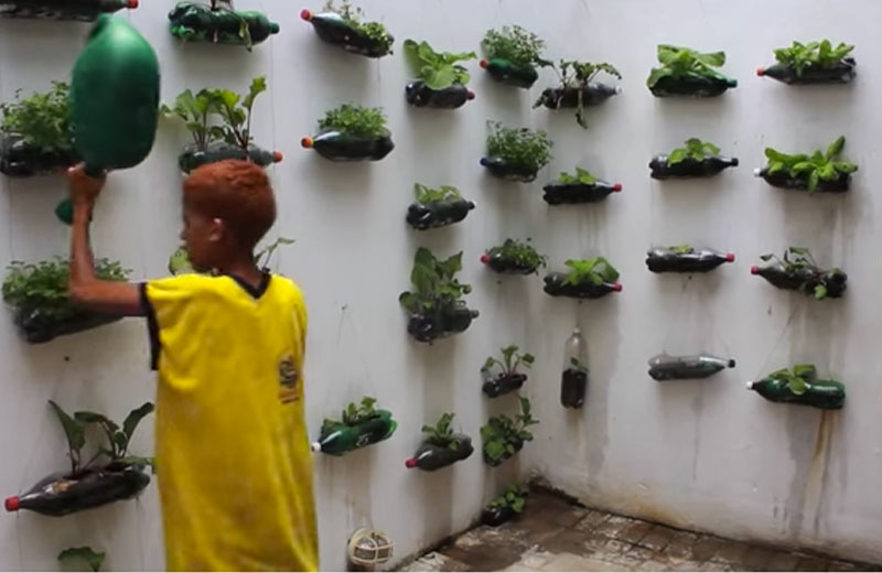 Foto: reprodução / CPP