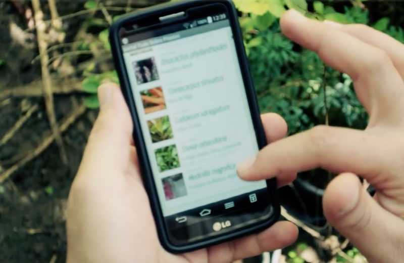 Foto: reprodução / Vimeo||