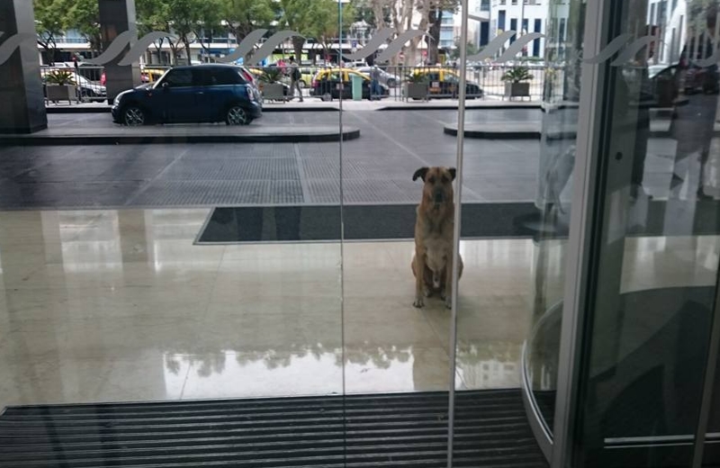 Foto: Reprodução|||