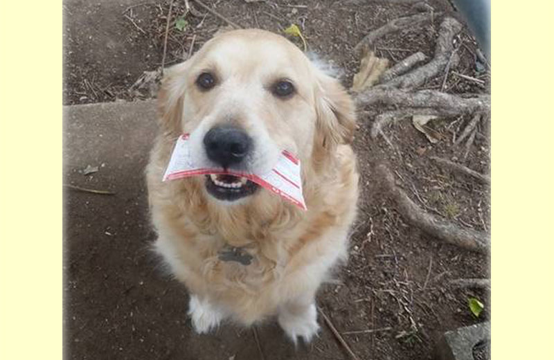 Foto: reprodução / Facebook