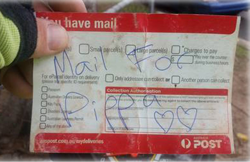 Foto: reprodução / Facebook