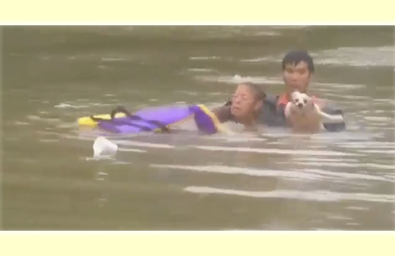 Foto: reprodução / WAFB / Youtube