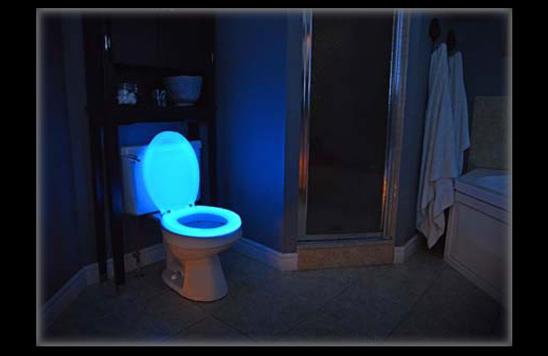 Foto: divulgação|Foto: divulgação|