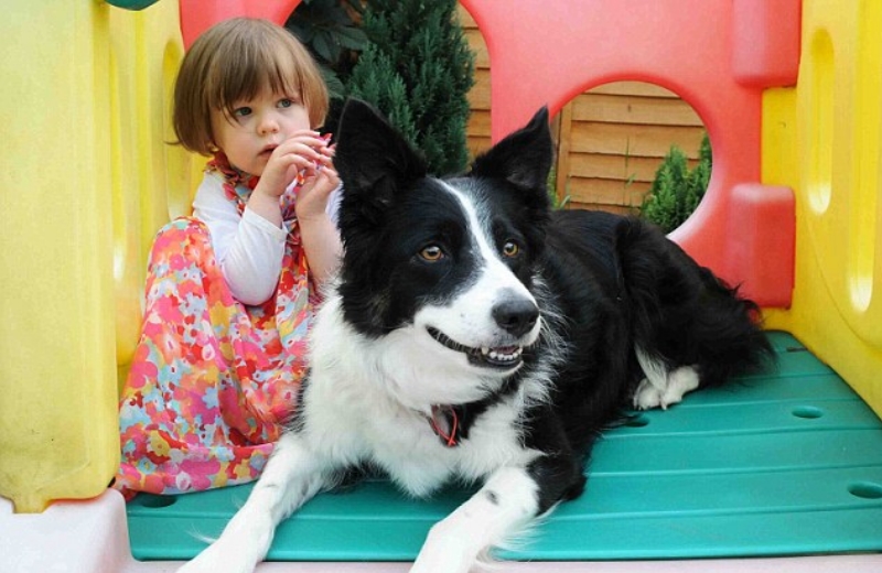 Foto: Evening Gazette|