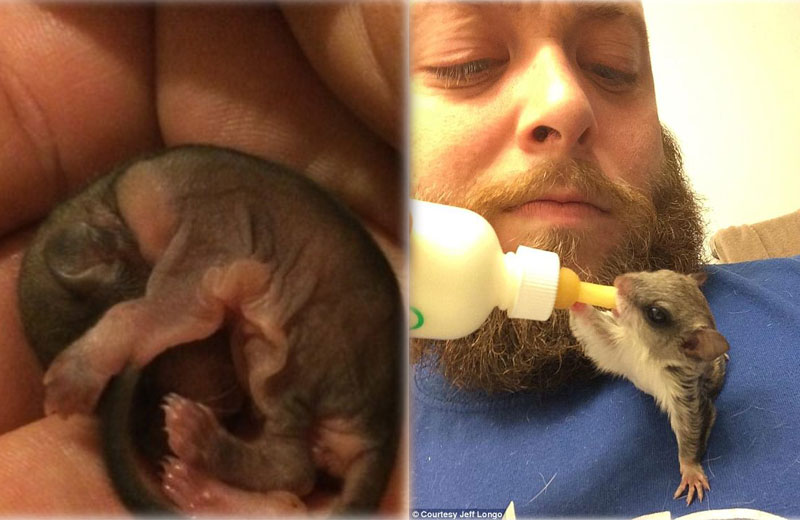 Fotos: Jeff Longo||||