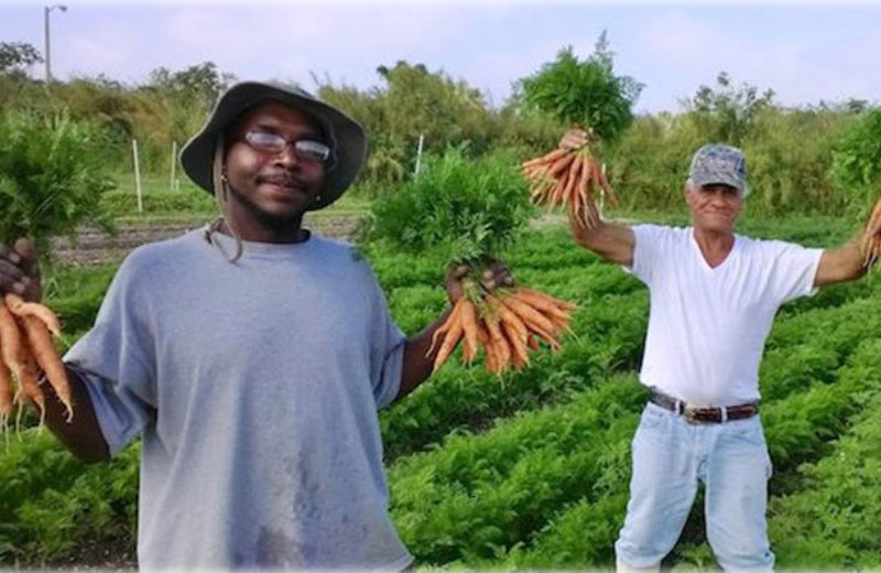 Foto: TheGreenestoPost