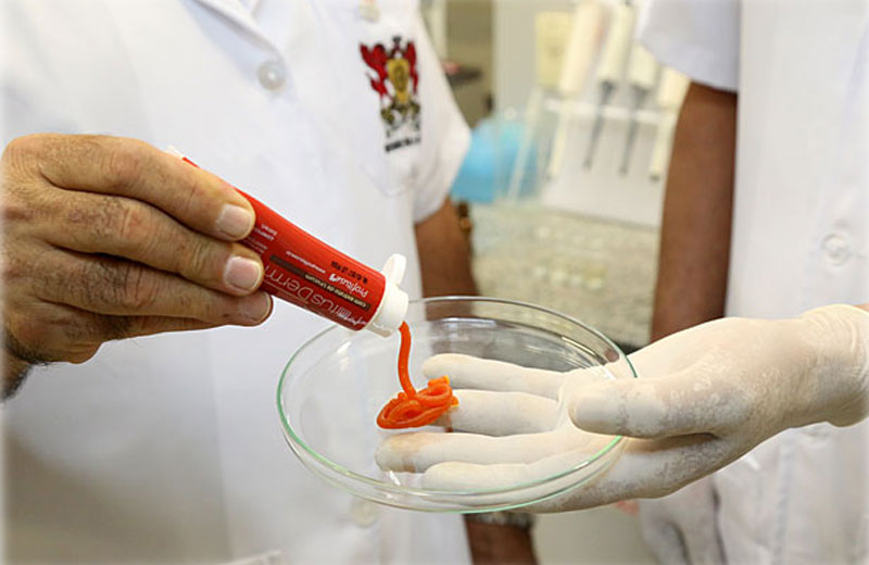 Foto: Daniel Sotto Maior / Divulgação||