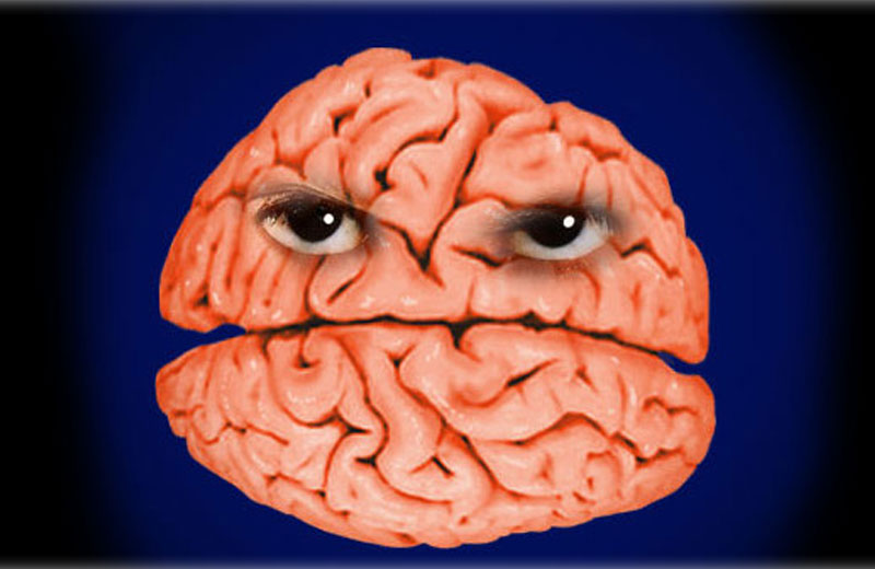 Foto: Alex Pietrowski / Staff