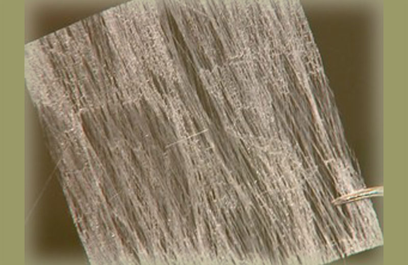 Foto: Paulo Chiari/EPTV