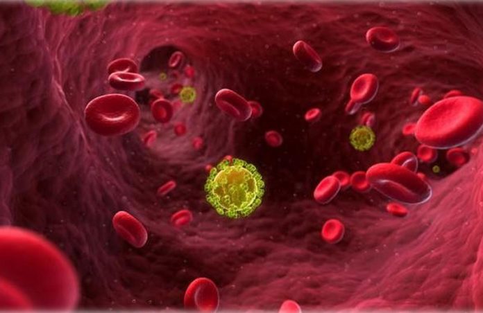HIV na corrente sanguínea - Foto: The Telegraph