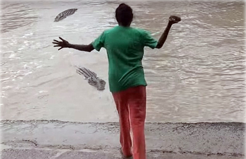 Foto: Lyndon Anlezark