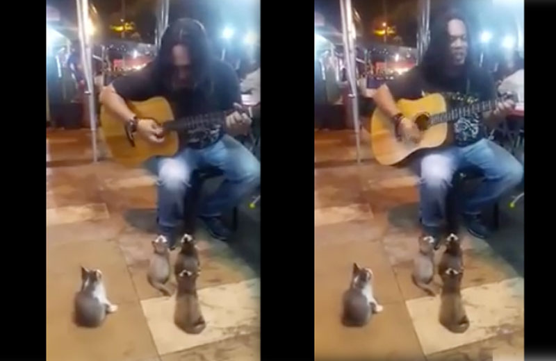 Fotos: reprodução / Youtube