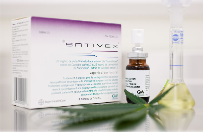 Foto: iStock | MaguiDomnguez