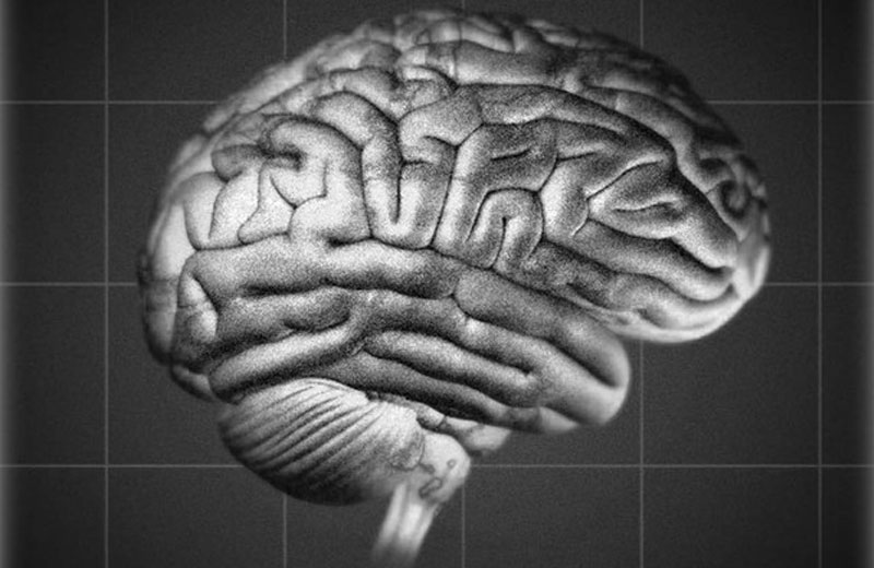 Foto: Val Altounian / Science Translational Medicine