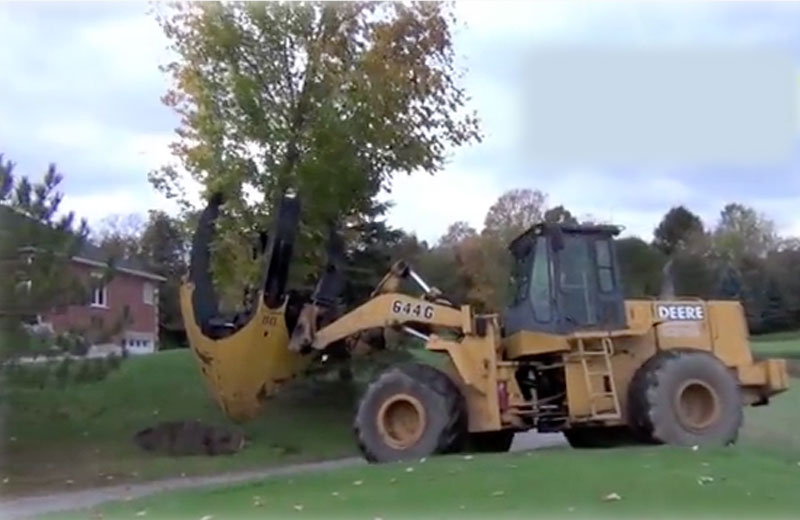 Foto: reprodução / Youtube / Dutchman Industrie Tree Spade