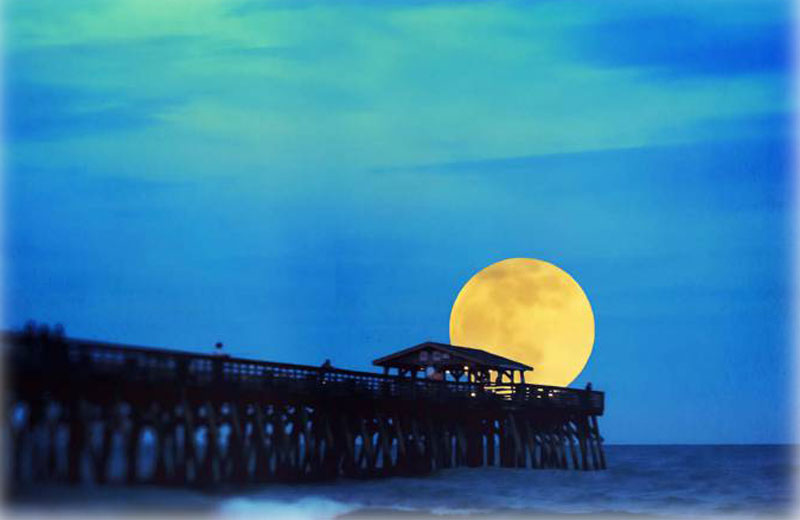 Foto: iStock / Laura Clay-Ballard