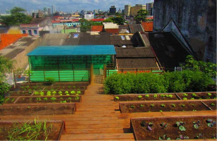 telhado-cpp-close-1|telhado-cpp-close-2 Foto: CPP|