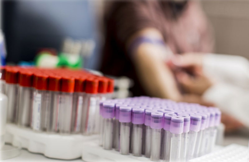 Foto: Goran Bogicevic / Shutterstock.com