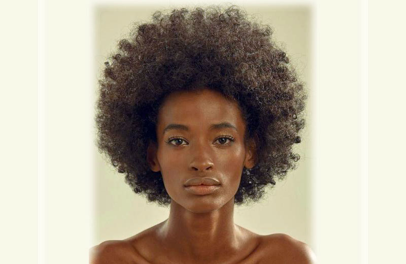 Foto: Divulgação/Ford Models