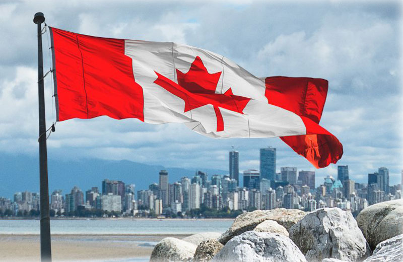 Foto: iStock/franckreporter