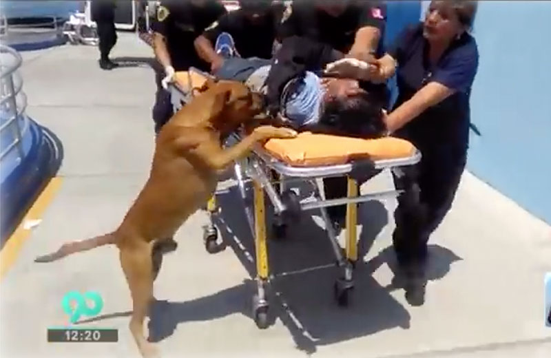 Foto: reprodução / LatinaNoticias