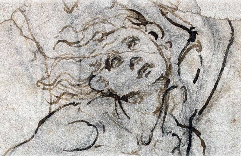 Foto: reprodução /Tarjan