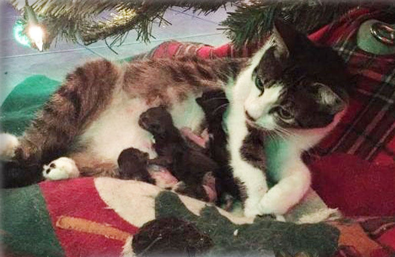 Foto: arquivo pessoal / Danielle Lopez|