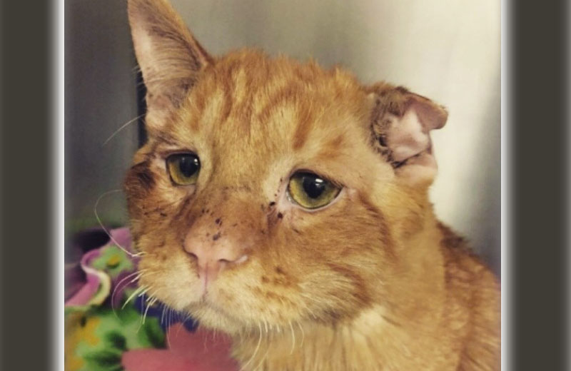 Fotos: reprodução / Instagram||||