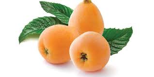 Nêsperas - origem na China Japão - foto: LyfeStile