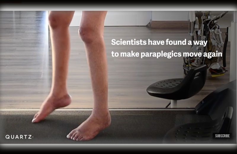 Foto: reprodução / Quartz / Youtube