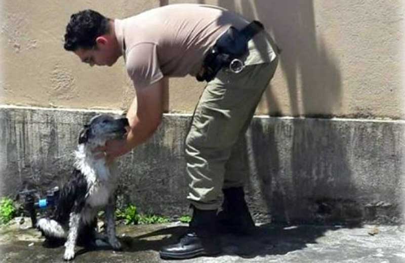 Foto: divulgação / PM|