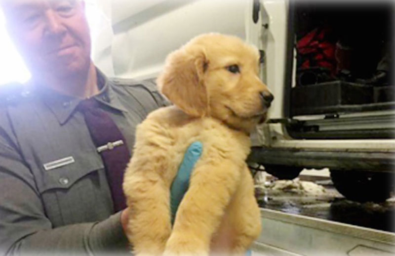 Foto: New York State Police