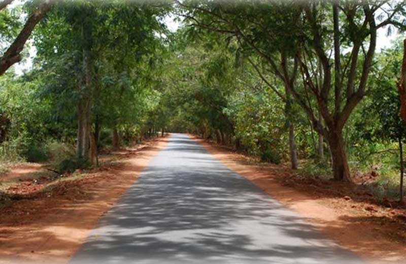 Foto: reprodução / Auroville|Auroville tem formato de uma galáxia - Foto: divulgação|