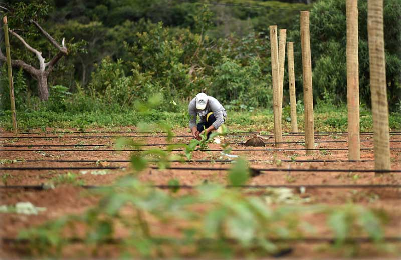 Foto: Andre Borges/Agência Brasília
