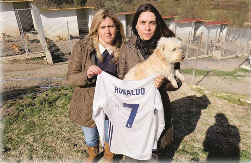 cristiano-ronaldo-caes-close-2