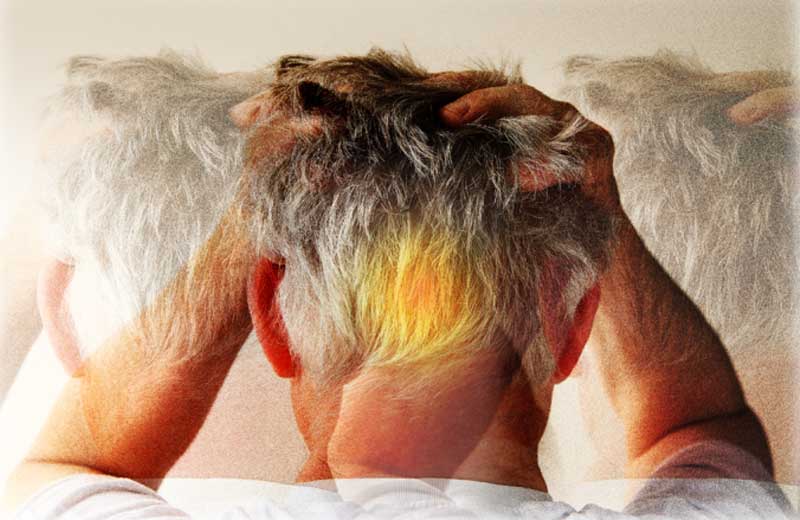 Foto montagem / nebari / Istock